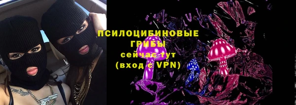 mdpv Горно-Алтайск