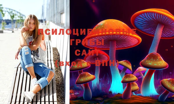 ALPHA PVP Горнозаводск
