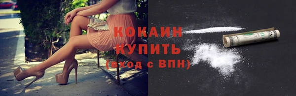 мдпв Вязьма