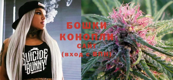 ALPHA PVP Горнозаводск