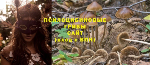 дмт Вязники