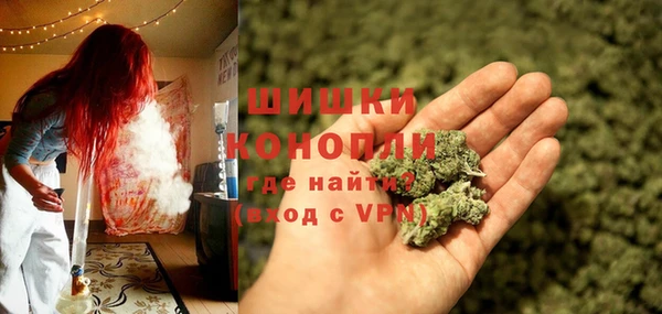 ALPHA PVP Горнозаводск
