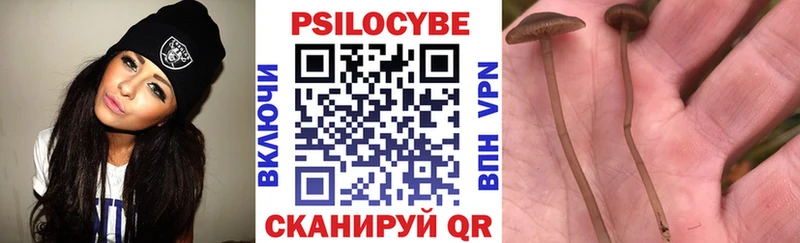 где найти наркотики  Ярославль  Галлюциногенные грибы мухоморы 