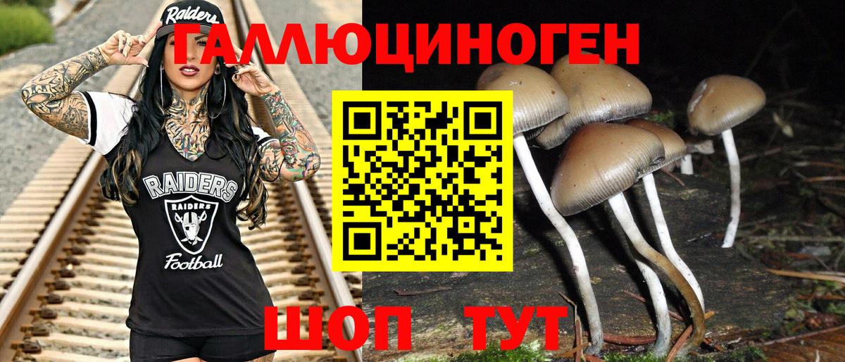 Галлюциногенные грибы Cubensis Ярославль