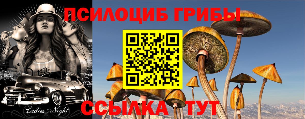 Псилоцибиновые грибы Cubensis  Псилоцибиновые грибы мухоморы  Вход с VPN  Ярославль 